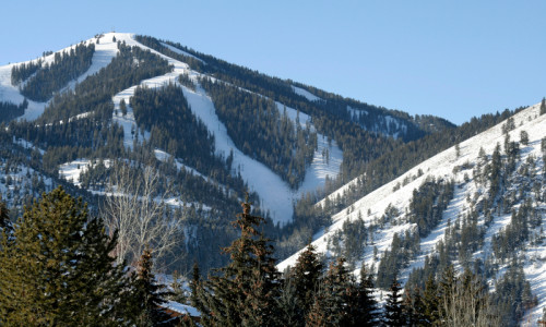 Vacation Packages