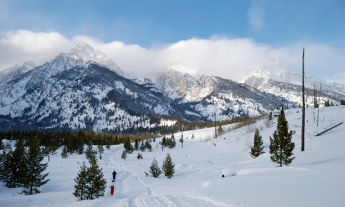 Snowshoeing